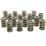 PAC RACING SPRINGS PACPAC-1326-16 1.550 Dual Valve Springs - (16)