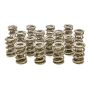 PAC RACING SPRINGS PACPAC-1353-16 1.695 Triple Valve Springs - (16)