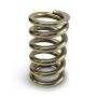 PROFORM PFMBB1902 Calibrated Test Spring Medium 50-450lbs