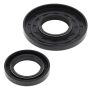 Vertex Pistons 55162 Vertex Gaskets 1974 Yamaha 246 GP/GS Oil Seal Kit