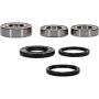 Pivot Works 25-1193-P Kawasaki Wheel Bearing Kit Premium Bearings