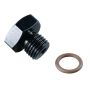FRAGOLA FRG481430-BL 10an Port Plug w/ 1/8in Female Port
