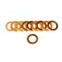 EARLS EAR177101ERL 10mm Copper Washer Pk10