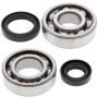 All Balls Racing 24-1015 82-88 Suzuki RM125 Crank Shaft Bearing Kit