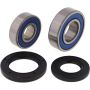 All Balls Racing 25-1035 Wheel Bearing Kits