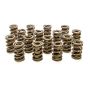 PAC RACING SPRINGS PACPAC-1239-16 1.550 Dual Valve Springs - (16)