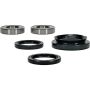 Pivot Works 25-1029-P Wheel Bearing Kit