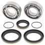 All Balls Racing 24-1111 03-04 Gas-Gas TXT Trials 125 Crank Shaft Bearing Kit