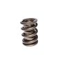 COMP Cams Valve Spring 1.625in CHR