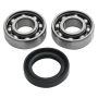 Hot Rods HR00138 18-21 Honda CRF 250 R 250cc Counter Balancer Kit