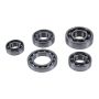 Hot Rods HR00074 05-09/2011 TRX 500 FE/05-09/2011 TRX 500 FM/05-06 TRX 500 TM Transmission Bearing Kit