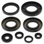 Vertex Pistons 822349 Vertex Gaskets 09-14 Yamaha YFM550 Grizzly Oil Seal Kit