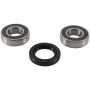 Pivot Works PWFWS-S07-000 97-99 Suzuki DR350 PW Front Wheel Bearing Kit