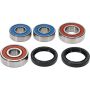 Pivot Works 25-1086-P Yamaha Wheel Bearing Kit Premium Bearings