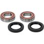 Pivot Works 25-1396-P Wheel Bearing Kit