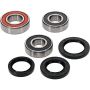 Pivot Works 25-1557-P Triumph Wheel Bearing Kit Premium Bearings