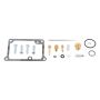 All Balls Racing 26-1108 02-23 Kawasaki KX65 Carburetor Rebuild Kit