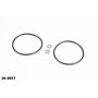 Radium Engineering 20-0057 CATCH CAN O-RING SERVICE KIT
