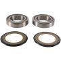Pivot Works PWSSK-D01-000 21-22 Aprilia RS 660 PW Steering Stem Bearing Kit