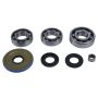 All Balls Racing 25-2119 2016 Can-Am Defender 800 Differential Bearing & Seal Kit Front