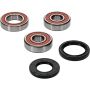 Pivot Works 25-1390-P Kawasaki Wheel Bearing Kit Premium Bearings