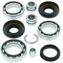 QuadBoss 413017 05-14 Honda TRX500FA FourTrax Foreman Rubicon 4x4 AT (02) Front Diff Bearing & Seal Kit