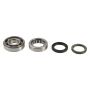 Athena P400210444215 Main Bearing & Seal Kit