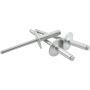 ALLSTAR PERFORMANCE ALL18153 Lg Hd Rivet 250Pk Silver