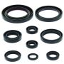 QuadBoss 564171 06-14 Honda TRX450ER Oil Seal Set