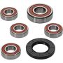 Pivot Works 25-1097-P Suzuki Wheel Bearing Kit Premium Bearings