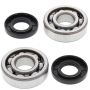 All Balls Racing 24-1006 07-14 Cobra CX 65 Crank Shaft Bearing Kit