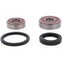 Pivot Works 25-1602-P Honda Wheel Bearing Kit Premium Bearings