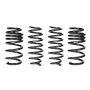 Eibach Springs E10-87-001-02-22 Pro-Kit Performance Springs (Set Of 4 Springs)