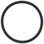 Elring 007.920 Seal Ring
