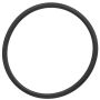 Elring 096.800 Seal, thermostat