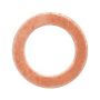 Elring 101.508 Seal Ring