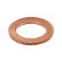 Elring 101.508 Seal Ring