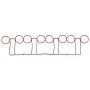 Elring 493.390 Gasket, intake manifold