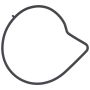 Elring 527.420 Gasket, water pump