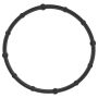 Elring 619.630 Seal Ring