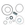 Edelmann 8527 PUMP COMPLETE REBUILD KIT