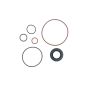 Edelmann 8632 PUMP SEAL KIT
