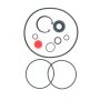 Edelmann 8700 HD PUMP SEAL KIT