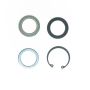 Edelmann 8717 STG. GEAR LWR PITMAN SHAFT SEAL KIT