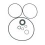 Edelmann 8754 PUMP SEAL KIT