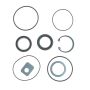 Edelmann 8765 STG. GEAR COMP PITMAN SHAFT SEAL KIT