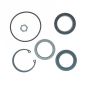 Edelmann 8773 STG. GEAR COMP PITMAN SHAFT SEAL KIT