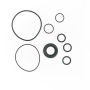 Edelmann 8793 PUMP SEAL KIT