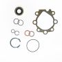 Edelmann 8797 PUMP SEAL KIT