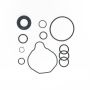 Edelmann 8800 PUMP SEAL KIT